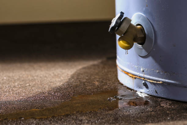 Best Ceiling water damage repair  in Somerville, NJ
