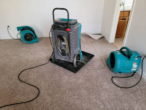 Best Local water damage restoration  in Somerville, NJ