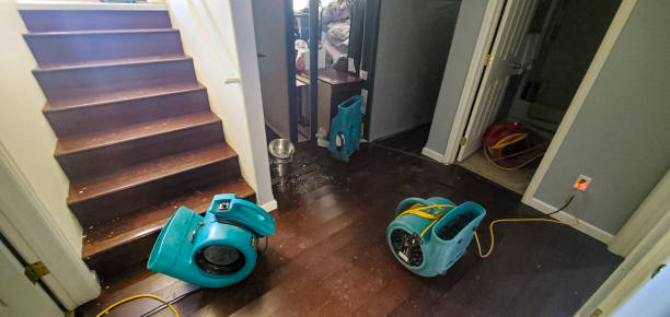  Somerville, NJ Water damage restoration Pros