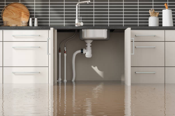 Best Basement water damage restoration  in Somerville, NJ