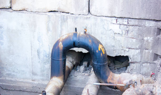 Best Mold removal after water damage  in Somerville, NJ
